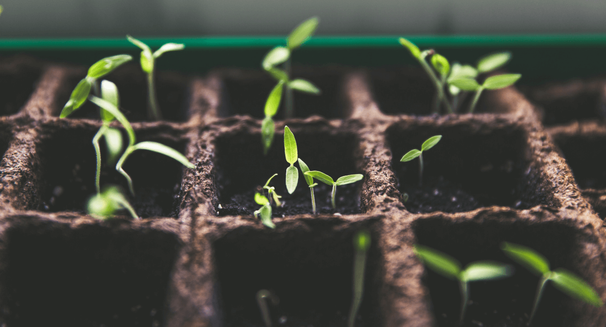 Retention-Starts-with-Orientation