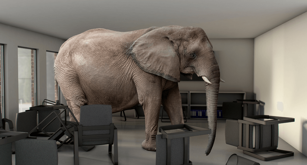 ThePaperElephant.-4