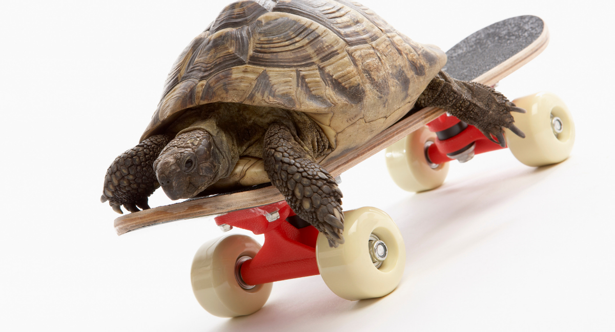 Work-Smarter-Not-Harder-in-the-New-Year