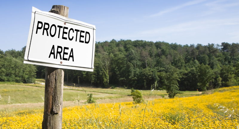 CarrierProtect_Blog_Header